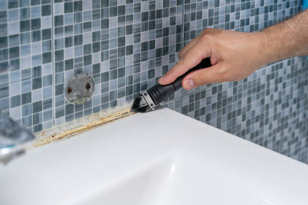 Best Commercial Mold Removal  in Mankato, MN